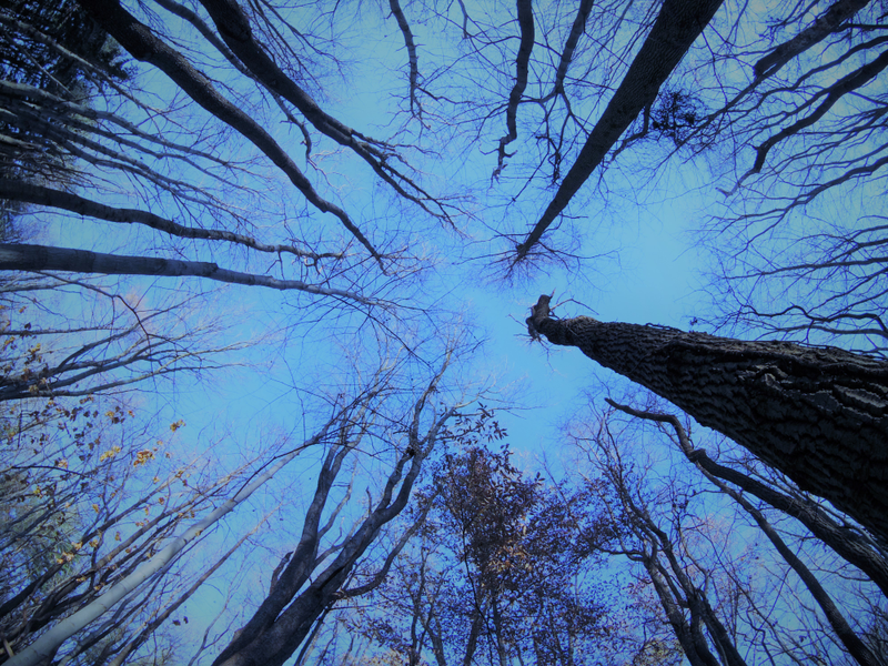 Illustration for article titled Hiking near my house